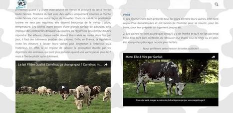 Lait : Sunlait décrypte les publicités mensongères | Lait de Normandie... et d'ailleurs | Scoop.it