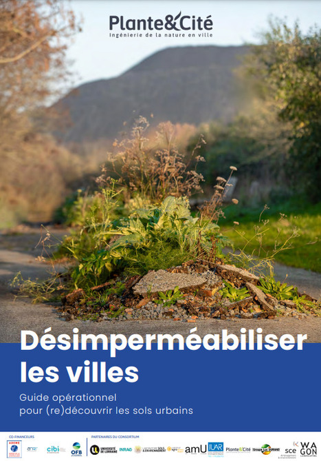 Désimperméabiliser les villes : guide opérationnel pour (re)découvrir les sols urbains, décembre 2024 | Aménagement durable | Scoop.it