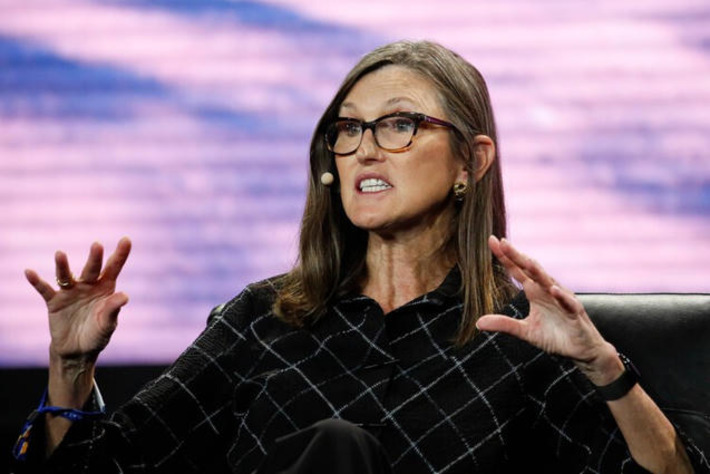 Cathie Wood buys $27.9 million of surging megacap stock | Wealth Advisors Report - Accumulating, Preserving, and Transitioning Wealth | Scoop.it