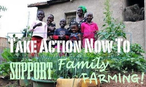 101 Global Food Organizations to Watch in 2015 | Humanitarian Supply Chain & Logistics | Scoop.it
