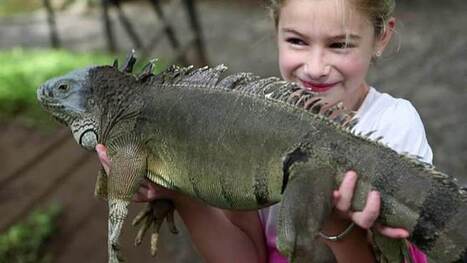 22 Hewan Peliharaan Unik Dan Lucu Yang Mudah Di