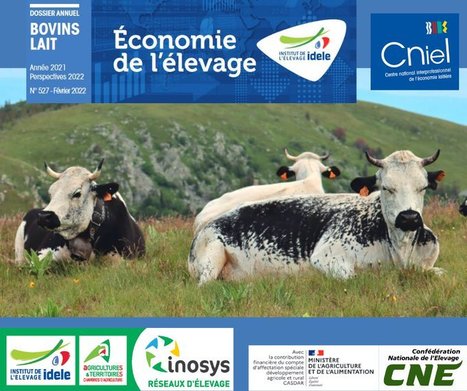 Idele : Annuel bovins lait 2021, Perspectives 2022 | Lait de Normandie... et d'ailleurs | Scoop.it