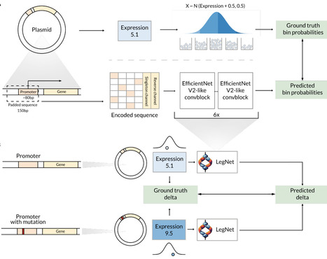 LegNet: resetting the bar in deep learning for ...