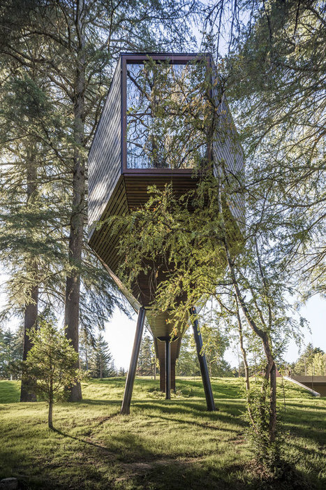 Tree SNAKE Houses by Rebelo de Andrade Studio in Portugal’s Pedras Salgadas Park | Human Interest | Scoop.it