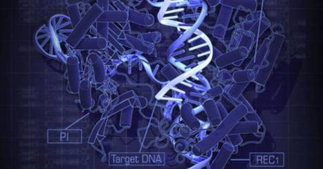 Les ciseaux g&eacute;n&eacute;tiques cens&eacute;s r&eacute;volutionner le monde m&eacute;dical en corrigeant des maladies rares auraient un effet secondaire plus qu'ind&eacute;sirable | Science & Transhumanisme | Scoop.it