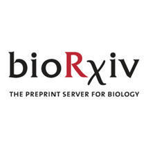 Lymph node expansion predicts magnitude of vaccine immune response | bioRxiv | Immunology | Scoop.it