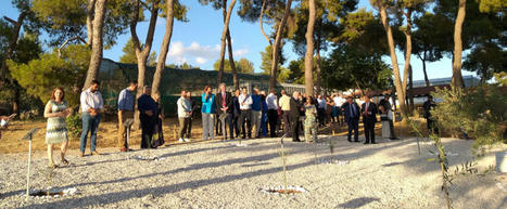 CIHEAM: Symbolic Garden of Peace Inaugurated with 21 Olive Trees | CIHEAM Press Review | Scoop.it