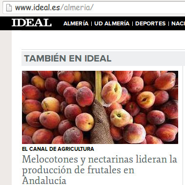 Agricultura - Melocotones y nectarinas lideran la producción de frutales en Andalucía | Sevilla Capital Económica | Scoop.it