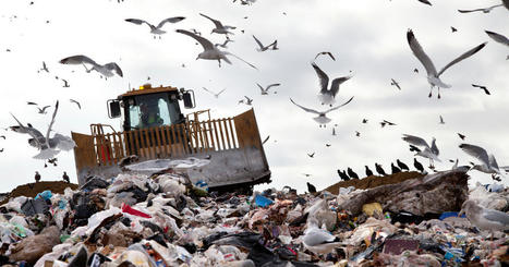 Mise en d&eacute;charge&nbsp;: un d&eacute;cret encadre le prix plafonn&eacute; accord&eacute; aux refus de tri et d&eacute;chets issus du recyclage | Environnement et technique | Scoop.it
