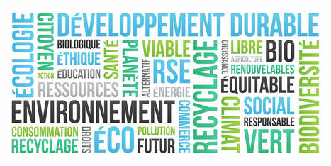 RSE : innover, c'est un peu transgresser | GRIEPS | Scoop.it