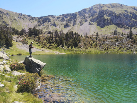 Apprendre les pêches en vallées d’Aure et du Louron | Vallées d'Aure & Louron - Pyrénées | Scoop.it