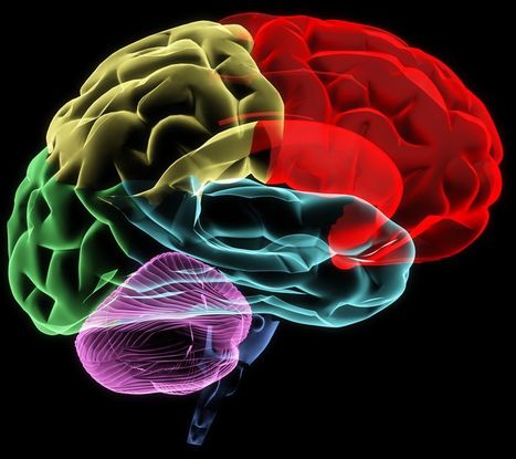 Slideshow - Leading Causes of Traumatic Brain Injury | Rhode Island Personal Injury Attorney | Scoop.it