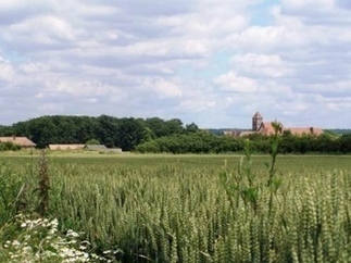 Participer &agrave; la transition &eacute;cologique de l&rsquo;agriculture - M&eacute;tropolitiques | SCIENCES DU VEGETAL | Scoop.it