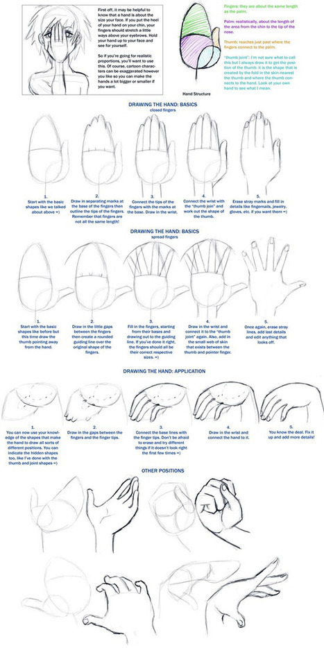 Hand Drawing Reference Guide | acquista ozempic | Scoop.it