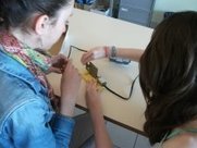 Acqu&eacute;rir des donn&eacute;es de temp&eacute;rature avec le boitier NXT pour mettre en &eacute;vidence les pertes &eacute;nerg&eacute;tiques en lien avec les mat&eacute;riaux | Veille &Eacute;ducative - L'actualit&eacute; de l'&eacute;ducation en continu | Scoop.it