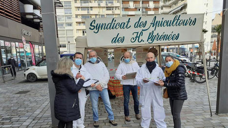 Le syndicat des apiculteurs des Hautes-Pyrénées réclame un plan anti-frelon de toute urgence | Vallées d'Aure & Louron - Pyrénées | Scoop.it