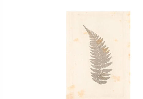 Jean-Louis Chr&eacute;tien : Fragilit&eacute; | Les Livres de Philosophie | Scoop.it