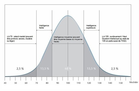 Douance intellectuelle | Haut potentiel | Neuropsychologie Rive Sud | L’éducation numérique dans le monde de la formation | Scoop.it