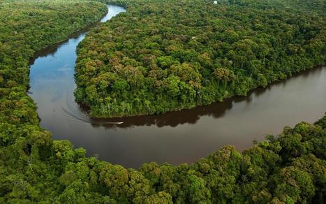 Amazonia:  Life Support for the Planet | Rainforest CLASSROOM | Scoop.it