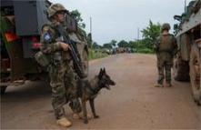 Bangui : les rentrants portent les stigmates d’une opex exténuante | DEFENSE NEWS | Scoop.it