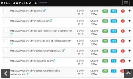 Killduplicate : j'ai testé, ça déménage ! | Search Marketing | Scoop.it