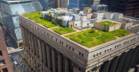 New French Law Passed: All New Rooftops Must Be Covered With Plants Or Solar Panels | Peer2Politics | Scoop.it