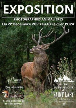 Exposition de photographies animalières à Saint-Lary-Soulan prolongée jusqu'au 29 février  | Vallées d'Aure & Louron - Pyrénées | Scoop.it