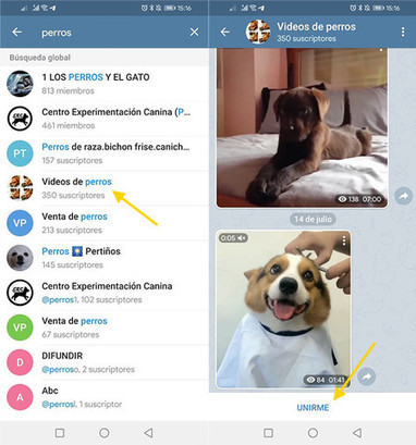 Cómo buscar grupos y canales en Telegram | TIC & Educación | Scoop.it