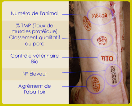 Pédagogie : la traçabilité des viandes | La Gazette des abattoirs | Scoop.it