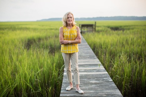 Sea level rise is already costing property owners on the coast | Coastal Restoration | Scoop.it