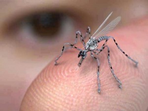 The insects are watching: the future of surveillance technology | Five Regions of the Future | Scoop.it