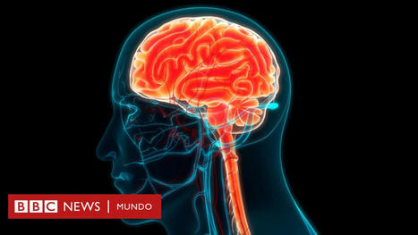 Demencia: qué es el síndrome vespertino y por qué lo padecen muchas personas que sufren esta enfermedad | Alzheimer y más (Boletín nº 73) | Scoop.it