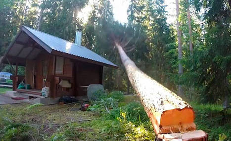 Puunkaatoa sentin tarkkuudella - suomalaismetsurin uskomattomat videot levi&auml;v&auml;t netiss&auml; | 1Uutiset - Lukemisen t&auml;hden | Scoop.it