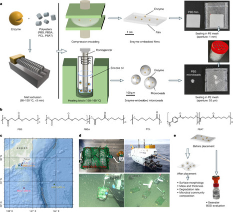 Enzyme-embedded polyesters for accelerated biodegradation in the deep sea | nat | RMH | Scoop.it