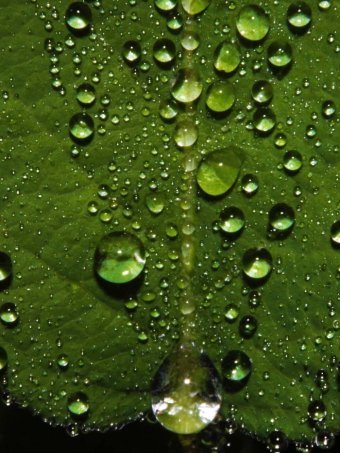 Our most precious liquid | Stage 4 Water in the World | Scoop.it