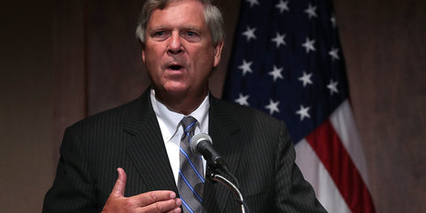 US, Changes Coming For Stores That Accept Food Stamps | L'ECHO DEMETER | Scoop.it