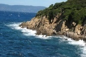 Rapport d'information : "Plaidoyer pour une décentralisation de la loi Littoral : un retour aux origines" - Sénat | Biodiversité | Scoop.it