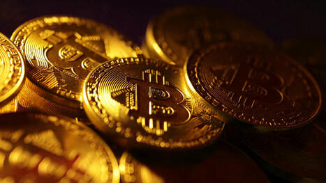 Should you invest in crypto now? | Avoid Internet Scams and ripoffs | Scoop.it