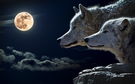 Occupy Hades: Hello World! | Anon Hades | Scoop.it