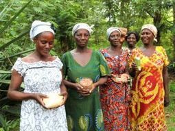 Ghana's women farmers resist the G7 plan to grab Africa's seeds | Peer2Politics | Scoop.it