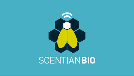 Un "nez &eacute;lectronique", bas&eacute; sur une technologie qui exploite la capacit&eacute; des insectes &agrave; sentir les compos&eacute;s organiques volatils (COV), pourrait nous offrir une vision chimique du monde en temps r&eacute;el | EntomoNews | Scoop.it