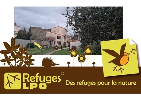Kiwi Niort – Refuge LPO – Kiwi – Météo et refuge – Chiroptères | Histoires Naturelles | Scoop.it