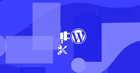 Créer un plugin WordPress personnalisé en 3 étapes — | Bonnes Pratiques Web & Cloud | Scoop.it