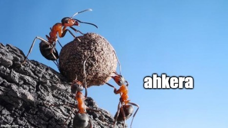 Ahkera | 1Uutiset - Lukemisen tähden | Scoop.it