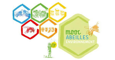 MOOC Abeilles et environnement - Cours | Les Colocs du jardin | Scoop.it