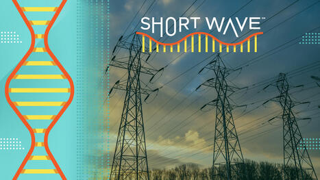 Power outages are on the rise. These drones could help : Short Wave | Remotely Piloted Systems | Scoop.it