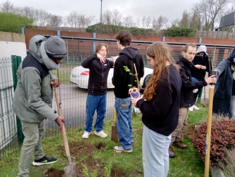 Plantation de petits fruitiers rouges | Les news des lycées Saint-Vincent-de-Paul et Notre-Dame du Sacré-Coeur de Loos | Scoop.it