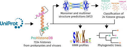 ProHistoneDB: A database of prokaryotic and viral histones | jmb | RMH | Scoop.it