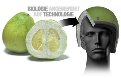 BMW to Use Pomelo Fruit to Protect its Workers | Biomimicry | Scoop.it