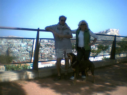 Wikipedia y la programaci&oacute;n - Hacia la Cuarta Generacion del ... | Programaci&oacute;n Web desde cero | Scoop.it